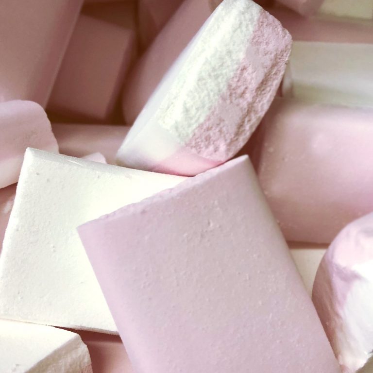 tachos-bricks-master-henry-s-emporium-of-sweets